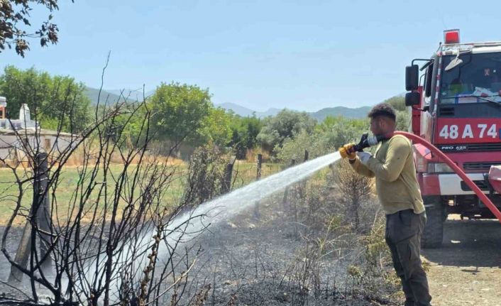 Bozarmut Ovası’ndaki zirai yangın kısa sürede söndürüldü