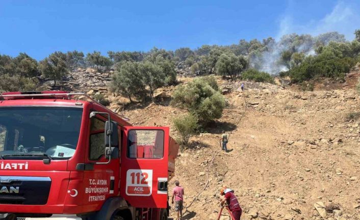 Bozdoğan’daki zirai alan yangını söndürüldü