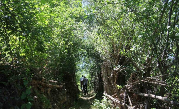 Bozkırın ortasında vahayı andırıyor, yeşilliği ile dikkat çekiyor