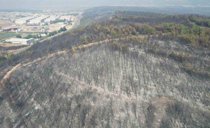 Buca’daki yangının tahribatı havadan görüntülendi