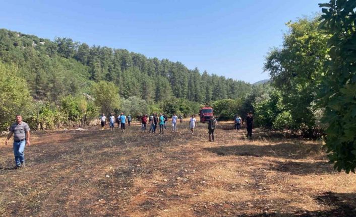 Bucak’ta çıkan arazi yangınında 1 dönüm alan yandı