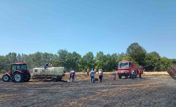 Buğday tarlasında çıkan yangında 10 dönümlük alan zarar gördü