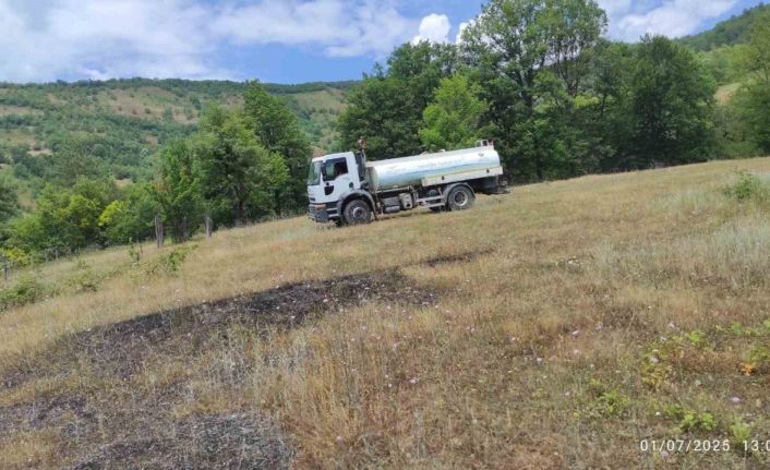 Buğday tarlasında korkutan yangın