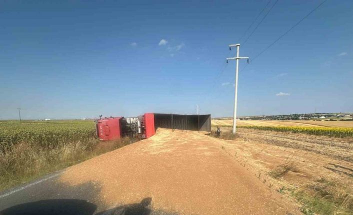 Buğday yüklü kamyon devrildi, sürücü yaralandı