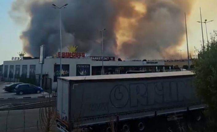 Bulgaristan’daki orman yangını Edirne sınırına dayandı