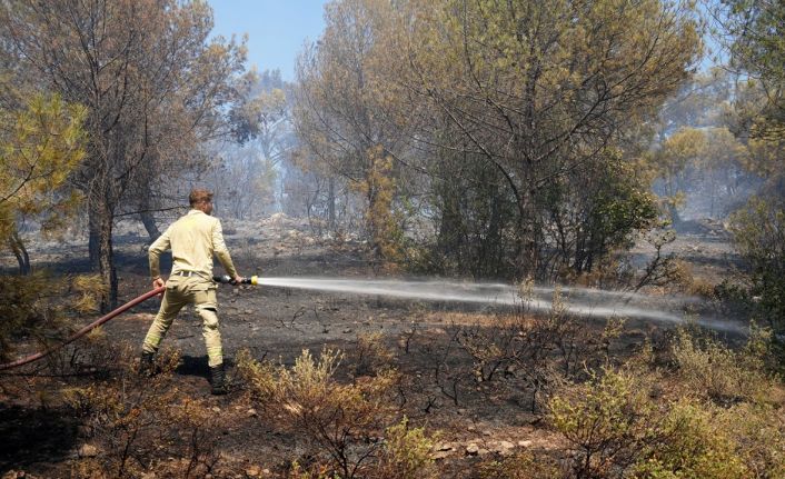 Burhaniye’de orman yangınına havadan ve karadan müdahale ediliyor
