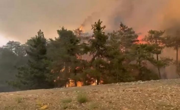 Bursa’da 5 köyün tahliye edildiği yangın büyüyerek sürüyor
