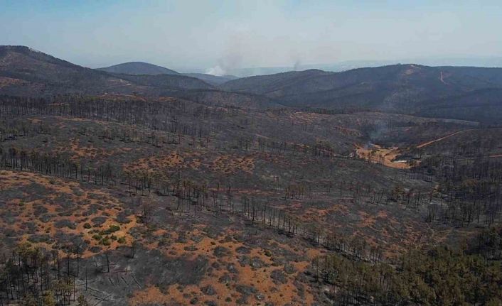 Bursa’da acı tablo: Harmancık’ta yanan yerler havadan görüntülendi