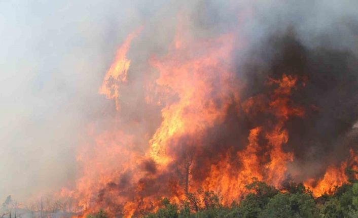 Bursa’da alevler tekrar yükseldi