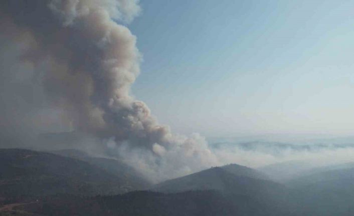 Bursa’da alevler yeniden yükseldi, müdahale havadan görüntülendi
