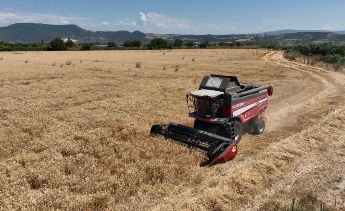 Bursa’da Büyükşehir desteği ile hasat zamanı