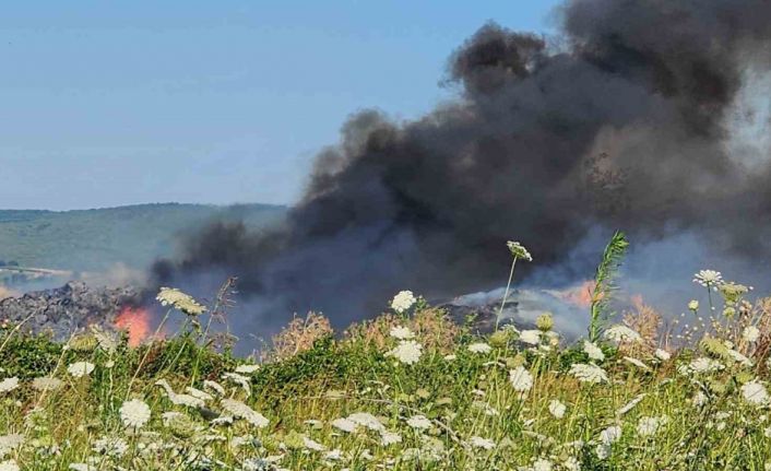Bursa’da çiftlikte çıkan yangın 3 yere sıçradı