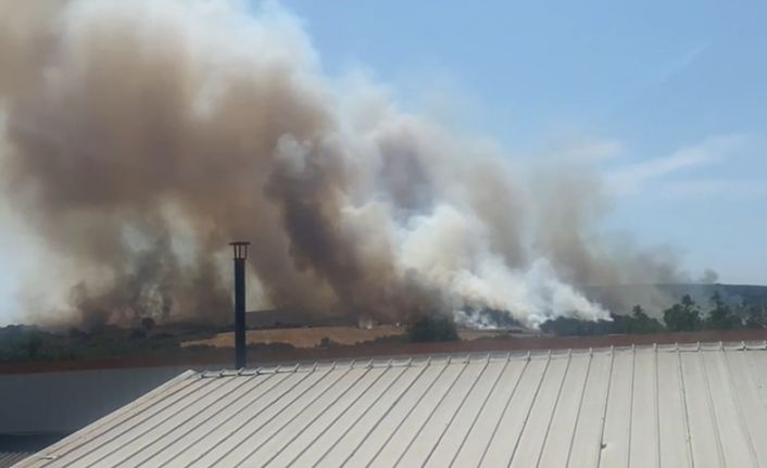 Bursa’da orman yangını