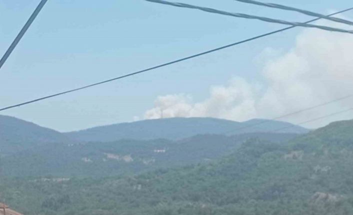 Bursa’da orman yangını: Havadan ve karadan müdahale ediliyor