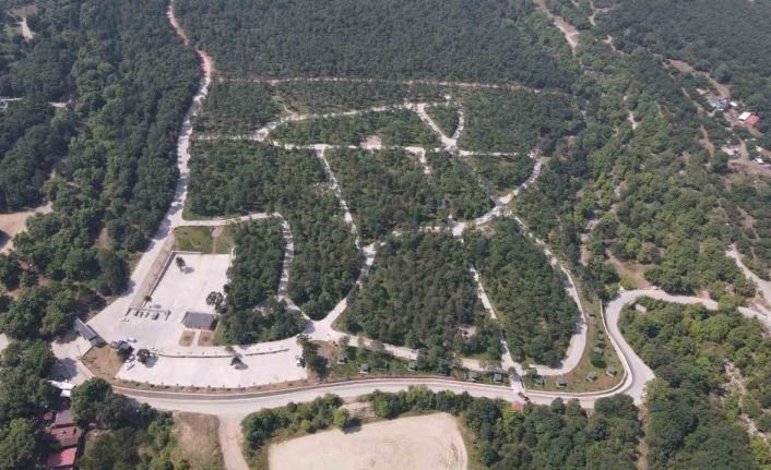 Bursa’da ormanlara giriş yasaklandı