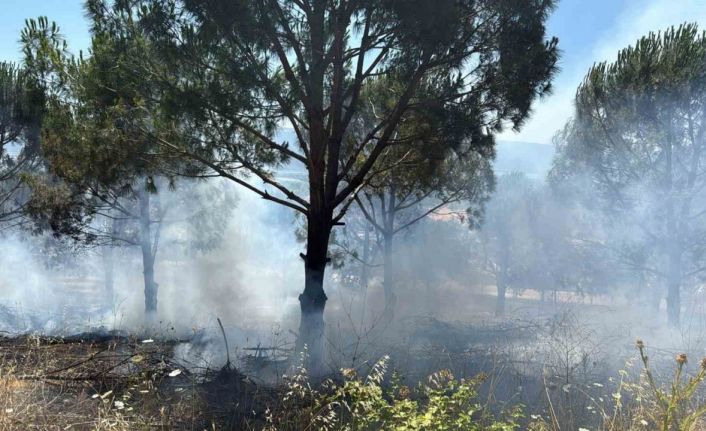 Bursa’daki yangın kontrol altına alındı