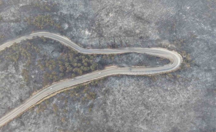 Bursa’daki yangının acı boyutu gün ağarınca ortaya çıktı