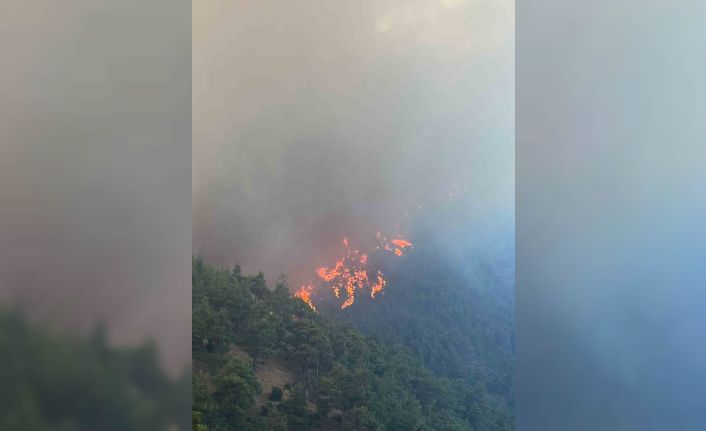 Bursa’nın ciğerleri yanıyor