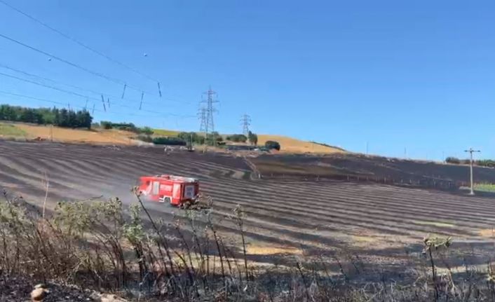 Büyükçekmece’de tarlada yangın: Alevler evlere sıçramadan söndürüldü