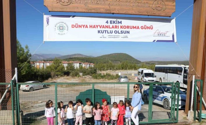 Büyükşehir Geçici Hayvan Bakımevi’nden 3 bin 779 can dosta yeni yuva