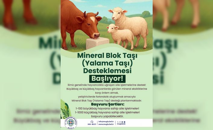 Büyükşehir’den hayvanlara yalama taşı desteği