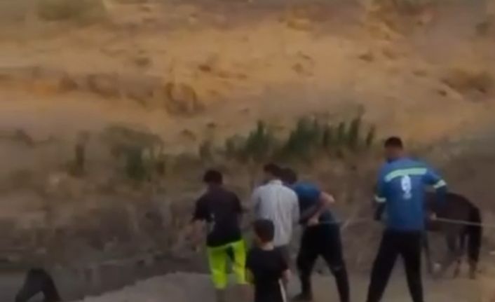 Çamura saplanan atı köylüler kurtardı