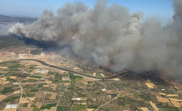 Çanakkale Valisi Toraman, Ayvacık’taki orman yangınını havadan kontrol etti