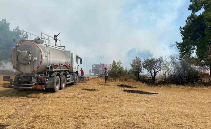 Çanakkale’de orman yangını kontrol altına alındı