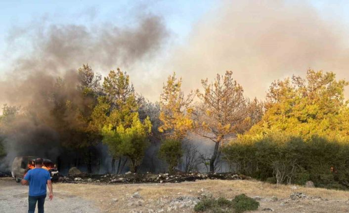 Çanakkale’de park halindeki midibüste çıkan yangın ormana sıçradı