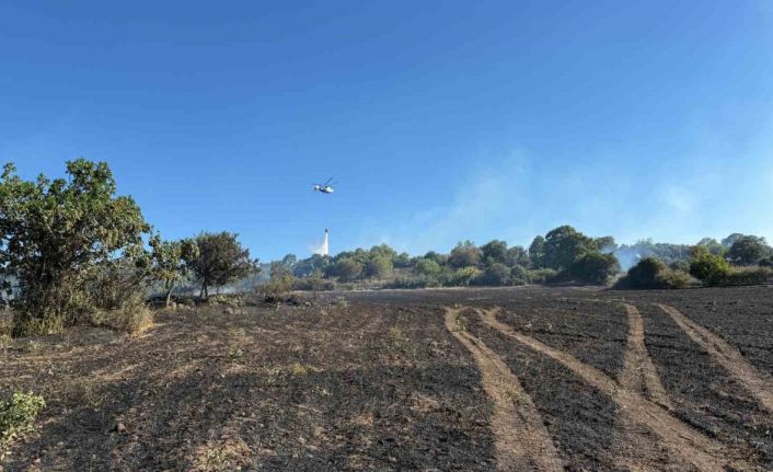 Çanakkale’de tarım arazisinde çıkan yangın kontrol altına alındı