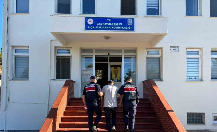 Çanakkale’deki yangına neden olan biçerdöver operatörü hakkında adli işlem başlatıldı