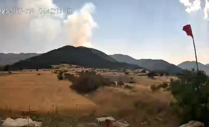 Çankırı-Kastamonu sınırındaki orman yangınının çıkış anı kameraya yansıdı