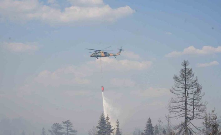 Çankırı Valiliği: "Orman yangınına 216 personel ve 7 helikopterle müdahale ediliyor"