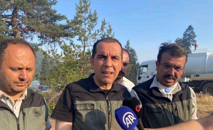 Çankırı Valisi Taşolar: "Yangının ilerleyişi durduruldu"
