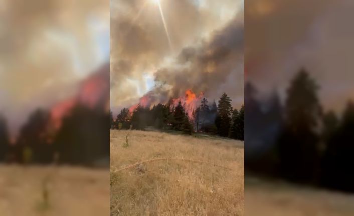 Çankırı’da orman yangını