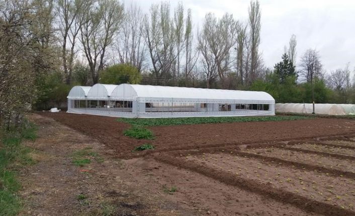 Çankırı’da yenilenen seralar üretime yeniden can verildi