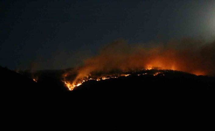 Çankırı’daki orman yangınına ekiplerin müdahalesi sürüyor