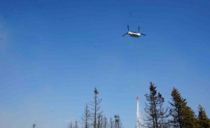 Çankırı’daki orman yangınına havadan ve karadan müdahale ediliyor