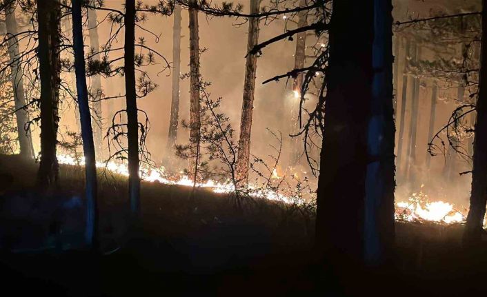 Çankırı’daki orman yangınına müdahale 4 saattir sürüyor