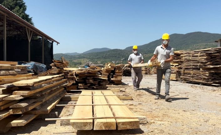 ÇAYBEL’den sokak hayvanlarına bin kulübe