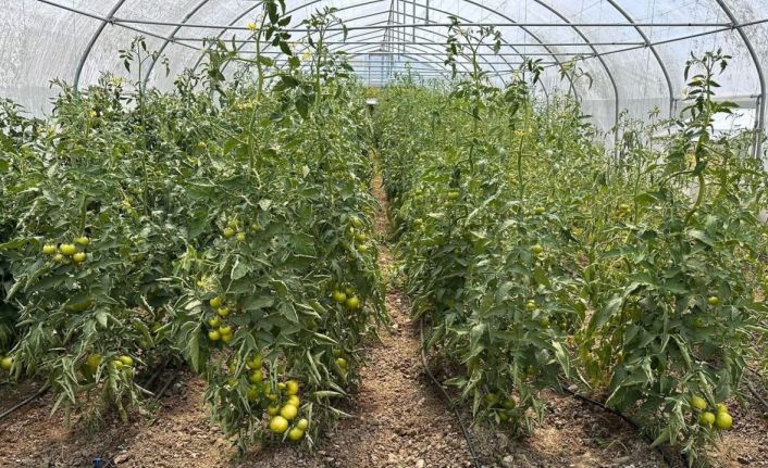 Çaycuma’da üretim güçlerini birleştirdiler