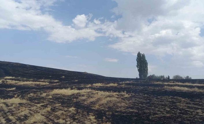 ÇEDAŞ’ın arızalanan trafosu 400 dönüm araziyi küle çevirdi