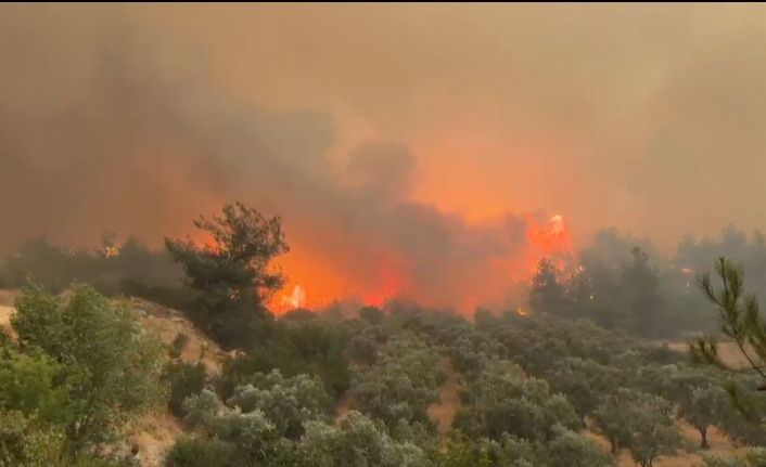 Cepheye gider gibi alevlerin üzerine böyle gittiler