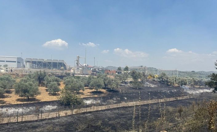 Çift sürülen tarla yangında zarar görmedi
