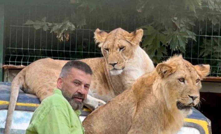 Çiftçiye saldıran aslanın sahibi: "İnsanlara saldırmazdı, sosyal bir hayvandı"
