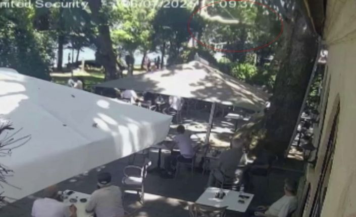 Çınardan kopan dal can aldı: O anlar kamerada