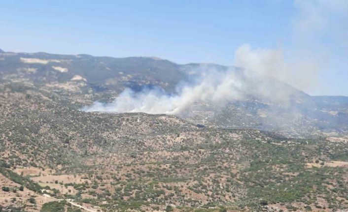 Çine’deki yangın kontrol altına alındı