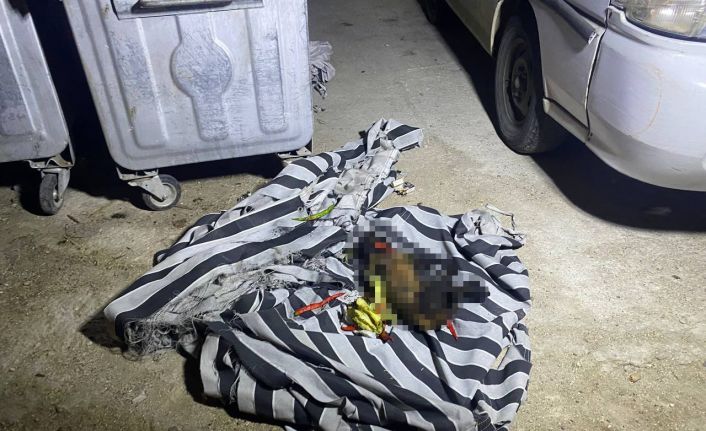 Çöp konteynerindeki yangın sonrası köpeğin telef olduğu ortaya çıktı