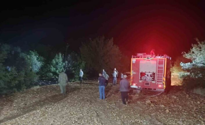 Çöp yangını ormana sıçradı