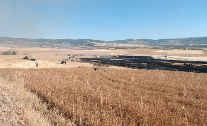 Çorum’da çıkan yangında 3 bin dekar buğday tarlası zarar gördü